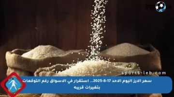 سعر الأرز اليوم الأحد 17-8-2025.. استقرار في الأسواق رغم التوقعات بتغيرات قريبة